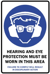 SIGN POLY - HEARING & EYE DIS. ACTION 600X450 POLY 376M 